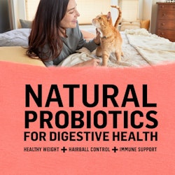 probióticos naturales para la salud digestiva