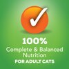 100% complete and balanced nutrition for cats