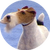 Eira