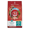 Purina ONE +Plus Digestive Health Probiotic with Real Chicken Dry Dog Food