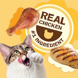 Real chicken number 1 ingredient
