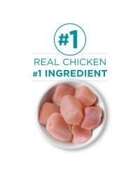 El ingrediente principal es la carne real de pollo
