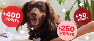 Earn More Points in More Ways