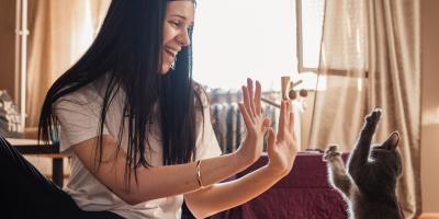 cat enrichment ideas