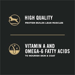 high quality protein builds lean muscle, vitamin a and omega-6 fatty acids