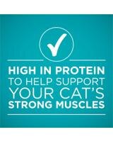 rico en proteínas