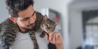 Un gato y su dueño