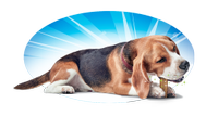 DentaLife Treats Dog