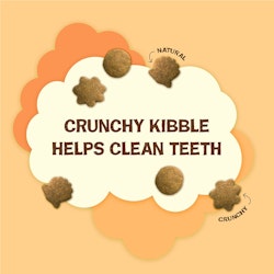 Crunchy kibble helps clean teeth