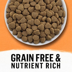 Beyond Grain Free Nutrient Rich