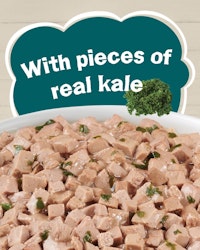 with pieces of real kale
