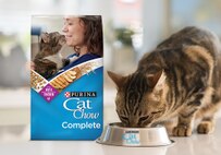 Cat eating Cat Chow Complete food