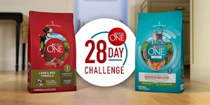 A group of Purina ONE dog and cat food