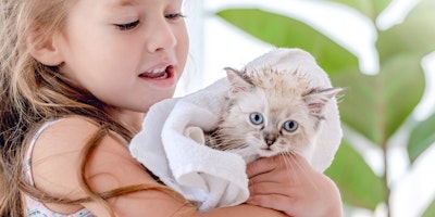 niña pequeña envolviendo a un gato en una toalla