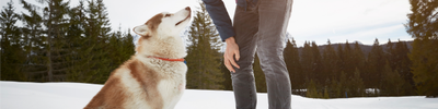 person outside in the snow with their dog