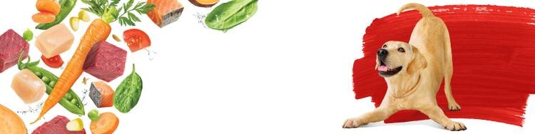beneful banner
