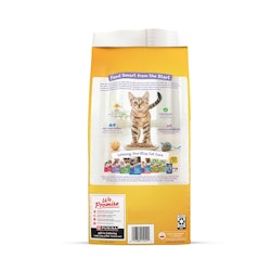 Purina Kitten Chow Kitten Food Healthy Development with Real Chicken Dry Kitten Food back packshot
