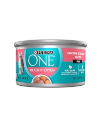 Purina ONE Healthy Kitten Chicken and Salmon Recipe Wet Cat Food