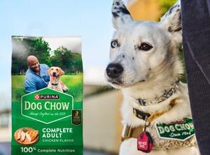 White service dog and bag of Dog Chow Complete Adult Chicken Flavor