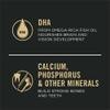 DHA From Omega-Rich Fish Oil Nourishes Brain And Vision Development