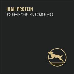 Alto en proteínas para mantener la masa muscular