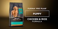 Pro Plan Puppy Chicken & Rice Formula 