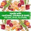 made with real beef and chicken and lamb with peas, carrots, rice and barley