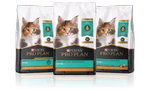 Pro Plan Kitten Food Line Up