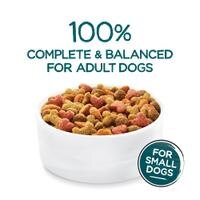 100 % completo y equilibrado para perros adultos