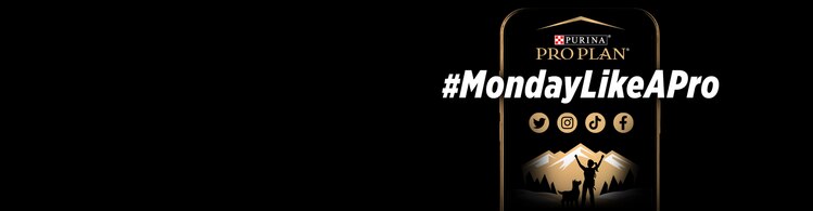 #MondayLikeAPro Hero Banner