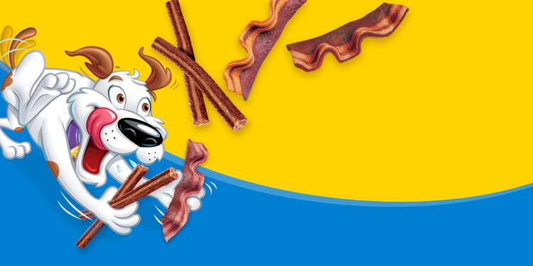 What Makes Dogs Bonkers For Beggin’?