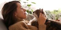 owner petting aging long-haired cat