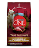 Purina ONE® True Instinct with a Blend of Real Turkey & Venison Dog Food