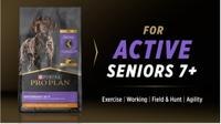 for active senior dogs