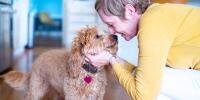La dueña de un perro acurrucándose con su cachorro