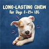 Long-lasting chew for dogs 8-85+ lbs