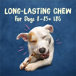Long-lasting chew for dogs 8-85+ lbs