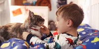 A boy plays with a cat