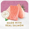 Made With Real Salmon