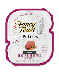 Petites Tender Beef with Carrots in gravy