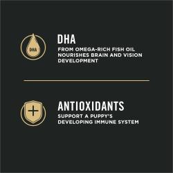 adh, antioxidantes