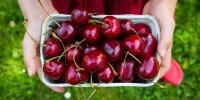 Cherries