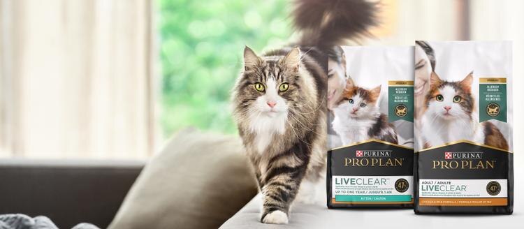 Purina Pro Plan Cat Food