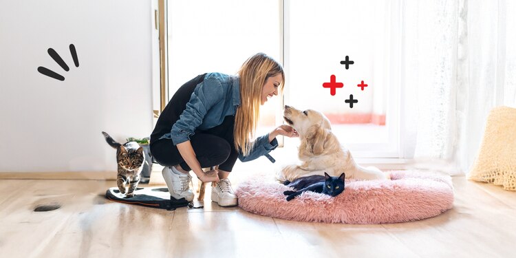 A woman scratches her dog's chin while her cats gather around her