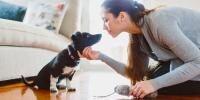 Cachorro ladrando para llamar la atención