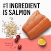 Salmon is number one ingredient