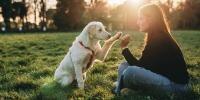 Perro dándole la pata a su dueño