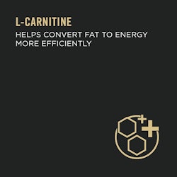 L-Carnitine helps convert fat to energy more efficiently