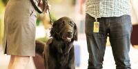 Dog standing with two co-workers