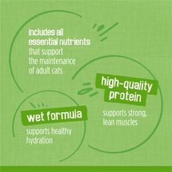 includes all essential nutrients that support the maintenance of adult cats
